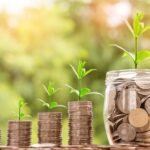 Stock Market Basics for Beginners